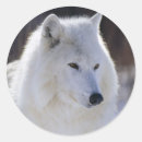 Suche nach arctic aufkleber Wolf