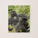 Suche nach vulkane puzzle Pflanzenfresser