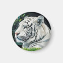 Suche nach wildtiere magnete Tierfreunde