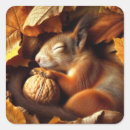 Suche nach nuss aufkleber Blätter