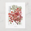 Suche nach regie karten Blume