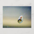 Suche nach wirbellose poster Schnecke