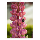 Suche nach schwarze flügel postkarten Bienen