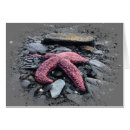 Suche nach stern des lebens karten Seestern