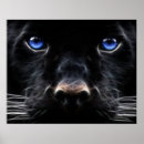Suche nach blue tiger poster Wild