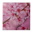 Suche nach rosa kirschblüte fliesen Sakura