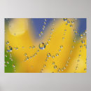 Suche nach feuchtigkeit poster Natur