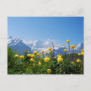 Suche nach schweizer alpen poster Grindelwald