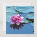 Suche nach rosa wasserlilien karten Lotus