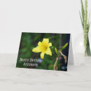 Suche nach taglilie karten Blume