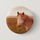 Suche nach wilde tiere buttons Landschaft