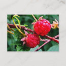 Suche nach himbeere visitenkarten Beeren