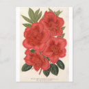 Suche nach indica poster Botanik