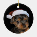 Suche nach yorkie ornamente Hund