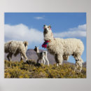 Suche nach anden berge poster Argentina