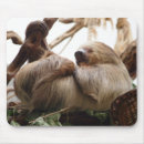 Suche nach faultier mousepads Niedlich