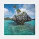 Suche nach fidschi magnete Küstenlinie