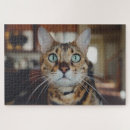 Suche nach katze puzzle Tabelle