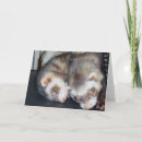 Suche nach verordnung karten Haustiere