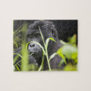 Suche nach regenwald puzzle Nationalpark
