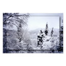 Suche nach winterliche poster Kiefernbäume