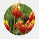 Suche nach frühling ornamente Blüte