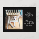 Suche nach schwarzer hund postkarten Lustig