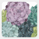 Suche nach pflanze aufkleber Kakteen