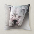 Suche nach schlafenhund Welpe