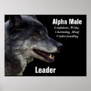 Suche nach alpha poster Tierwelt