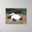 Suche nach riesen leinwandbilder Tier
