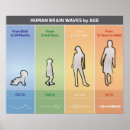 Suche nach menschlich poster Diagramm