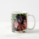 Suche nach palmöl Orang utan