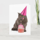 Suche nach katzen party karten Kuchen