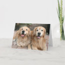 Suche nach hund karten Goldene retriever