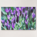 Suche nach lavendel blume puzzle Lila