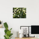 Suche nach weiße lilie poster Botanisch