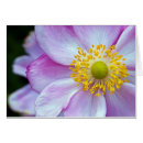 Suche nach japanische anemonen Blau