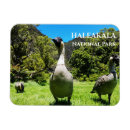 Suche nach maui magnete Souvenir