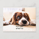 Suche nach einsam postkarten Hund