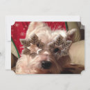 Suche nach hund mit brille karten Sonnenbrille