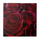 Suche nach rund fliesen Rose