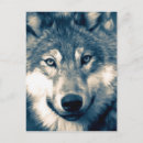 Suche nach animal postkarten Waldland