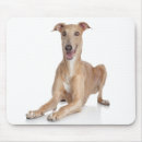 Suche nach italienisch mousepads Hunde