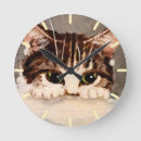 Suche nach babykatze poster Tier