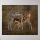 Suche nach verblassen poster Tun