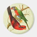 Suche nach niedlicher papagei magnete Bunt