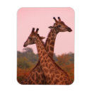 Suche nach rosa giraffe magnete Safari