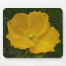 Suche nach poppy mousepads Natur