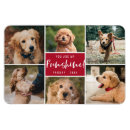 Suche nach rot auf ihnen magnete Foto